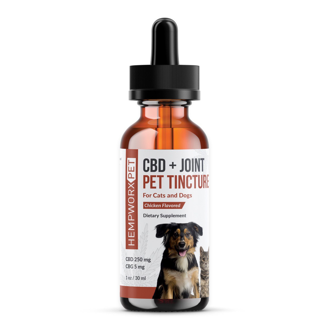 HempWorx CBD + Joint Pet Oil – Mobility & Aging Support for Pets (250mg)